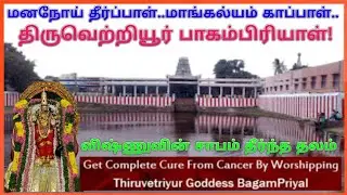 திருவெற்றியூர் பாகம்பிரியாள் கோவில் / சிவகங்கை/ Thiruvetriyur Pagampiriyal Temple/ புற்றுநோய் பரிகார