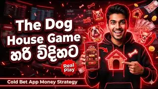 Mega Win ColdBet | Best Slot Sinhala | 1xBet tricks