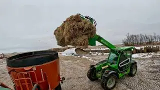 I Took Over The Family RANCH!! (I need help!)