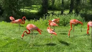 Greater Vancouver Zoo