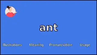 ANT - Meaning and Pronunciation