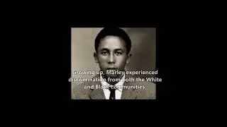 Why did the White West Indians Disappear? #WestIndies #Caribbean #WestIndian