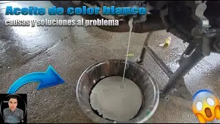 Aceite de color blanco en mi motor / mira las causas y solución
