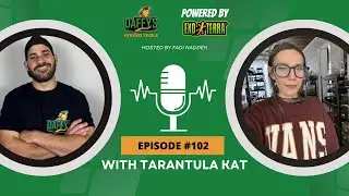 True Spiders vs. Tarantulas: What&rsquo;s the Best Pet Spider? With Tarantula Kat