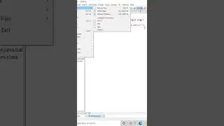 hello world program