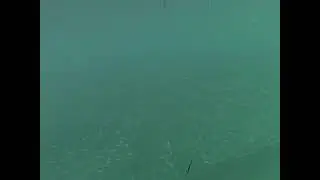 Snorkeling near Natadola Beach, Fiji