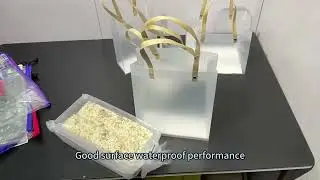 Eco-Friendly Transparent PVC Zipper Bag for Watch Packaging Low MOQ Waterproof Cosmetic Storage