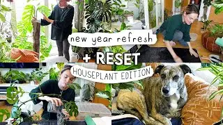 2+ HOURS(!!) of Resetting My Houseplant Collection 🌱 A Much Needed Reset + Plant Chores 2024