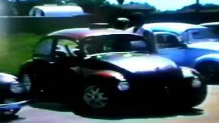Bugorama XV (15) - Sacramento 1985 - Part 1