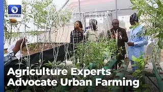 Experts Advocate Urban Farming For Food Security In Oyo