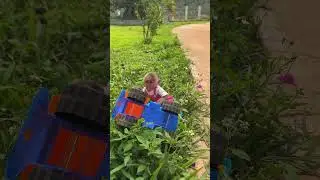 Baby monkey Moon learns to drive her little truck 🐒🛻✨ #babymonkey #cutemoment