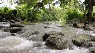Gentle Stream Sounds | Relaxing Stream Sounds use for Relaxation, Sleep, insomnia,ASMR]