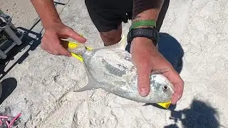 CATCHING POMPANO... POMPANO RUN... BEACH FISHING