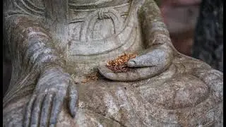 Ryumonji Zen Temple - Zen Online Meditation Livestream