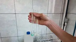 Coagularea (denaturarea) proteinelor