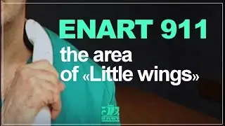 ENART 911 - the area of &laquo;Little wings&raquo;