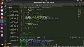 Contours processing with custom code image processing python