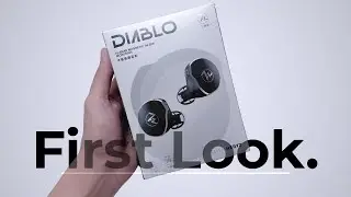 The Heaviest Bass I've Heard on an IEM - 7Hz x Crinacle Diablo