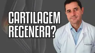 É possível REGENERAR a CARTILAGEM?