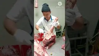 Pork Primal Cuts and Deboning