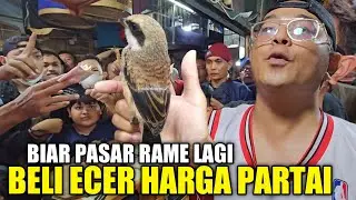 GEBRAKAN LEBARAN ! RATUSAN KENARI DAN PENTET KIRIMAN JAWA TIMUR DIJUAL MURAH HARGA GROSIR HARI INI