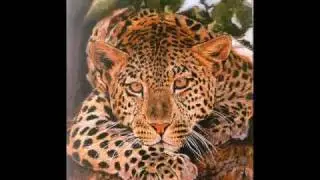 Animal artist Karine St Pierre