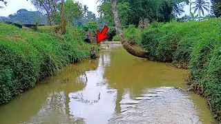 WAKTU YANG COCOK MANCING BELUT MONSTER DI SUNGAI KETIKA AIR SUNGAI MULAI SURUT