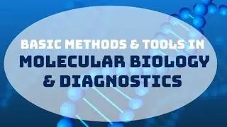 2 Specimen collection, preparation and DNA RNA Isolation and Extraction FILIPINO Molecular Biology D