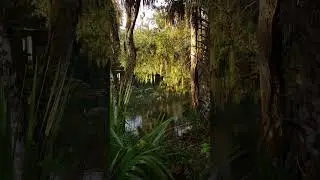 #Nature #Relaxing #RelaxingMusic #Florid #Spring #BlueLagoon