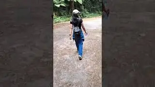 Following me to Bach Ma National Park - Vườn Quốc Gia Bạch M&atilde; #garden #nature