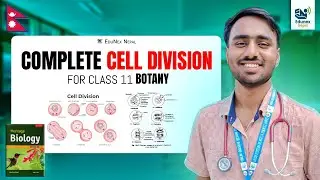 Cell Division &ndash; Cell Cycle, Mitosis & Meiosis Explained in Detail Class 11 Biology - Botany