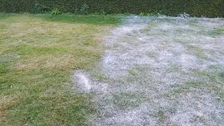 COMO CUIDAR DO GRAMADO NO INVERNO