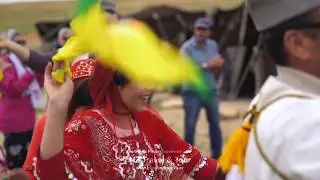 Visit Iran - An Authentic Iran Experience with Travel and tour NZ - Kiwi Iranian Tour Guides