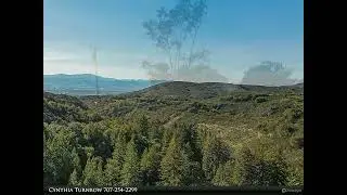 WORLD-CLASS NAPA VALLEY VIEWS