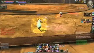 Aion 4.9 - Arena of Discipline 13 (Pocosin-TM vs Lord-SL)