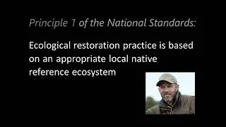 RESTORATION STANDARDS Principle 1 Reference ecosystem