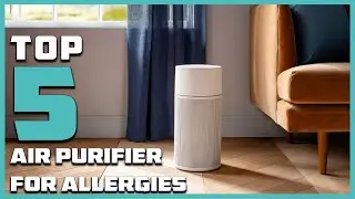 Top 5 Best Air Purifiers for Allergies: You Should Consider in 2025