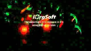 0-100 in 11seconds (speedometer view):  un-tuned turbocharged '96 Probe GT