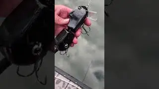 Swimbait Review: Sneaky Rat
