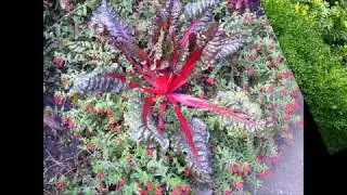 Arboretum - Ellerhoop (2)
