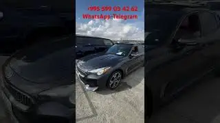 Kia Stinger 2020 года!! авто из Грузии! #киа #стингер #москва #рек #автоизсша #автоизевропы #авто