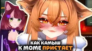 Камыш ПРО ВКУС Момы, ВЗГЛЯД CYKИ и МЫТЬЕ