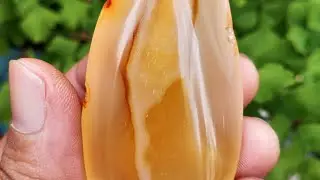 bismillah gasken pagi ini Bosque 🔥 🤩 🔥 Sultan Wong Kito sedang live sekarang!