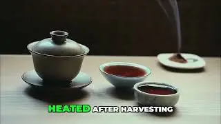 Red Tea vs Black Tea: The Oxidation Process