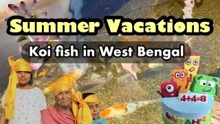 Blue turmeric 🔵|Summer vacations | Koi Fish keeping idea | Birthday party | parenting