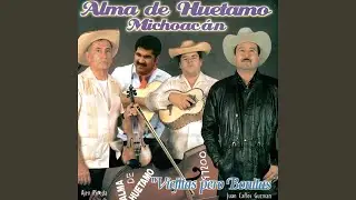 Gaviota Porte&ntilde;a