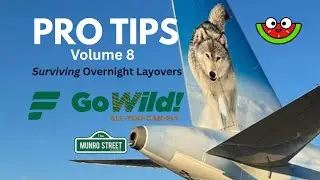 Frontier Go Wild Pro Tips Volume 8  Surviving a Long Layover