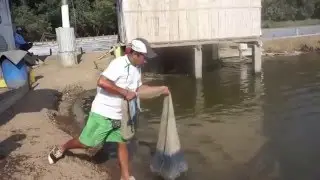 Life in Bahia - Visiting a Shrimp Farm