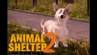 Animal Shelter 2 - Ep.1