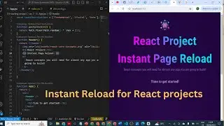 How to setup React project for instant page reload